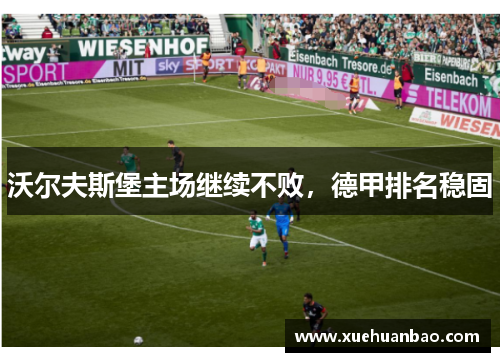 沃尔夫斯堡主场继续不败，德甲排名稳固