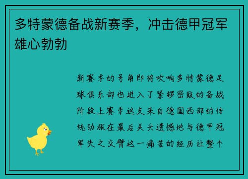 多特蒙德备战新赛季，冲击德甲冠军雄心勃勃